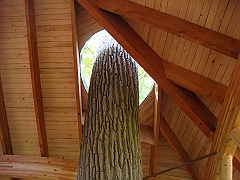 096 Longwood Gardens [2008 August 23]